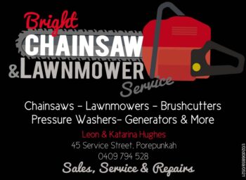 Bright Chainsaw and Lawnmower Service