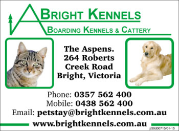 Bright Kennels