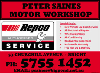 Peter Saines Motor Workshop