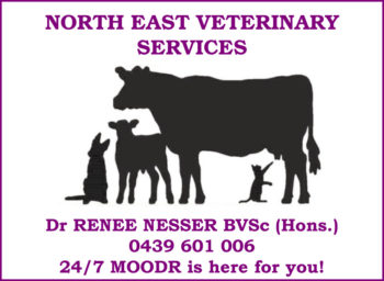 North East Veterinary Services