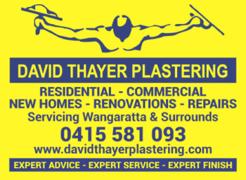 David Thayer Plastering