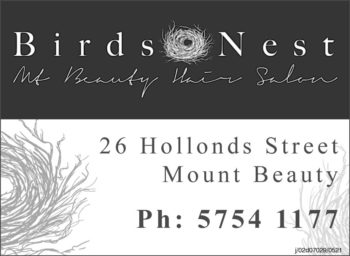 Birds Nest Hair Salon