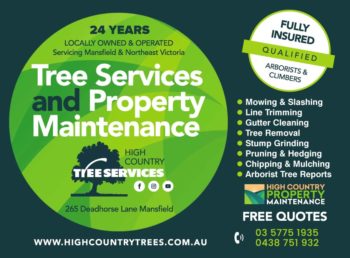 High Country Tree Services