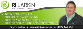 PJ Larkin Accounting