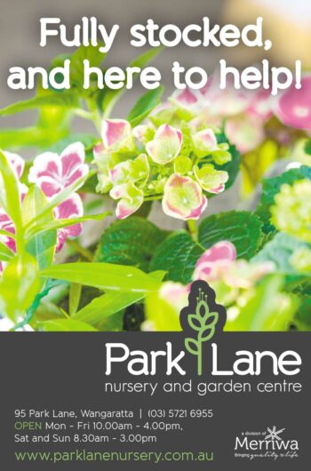 Park Lane Nursery & Garden Centre