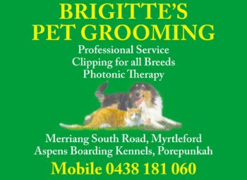 Brigitte’s Pet Grooming