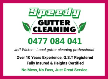 Speedy Gutter Cleaning (and Flues)