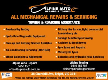 Alpine Auto Repairs & Alpine Towing (Mobile Service Available)