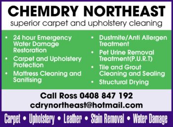 Chemdry North East