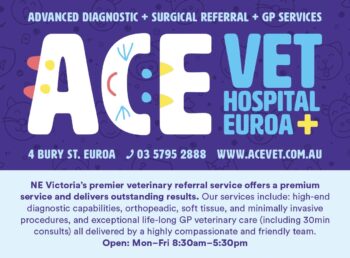 ACE Vet Hospital Euroa