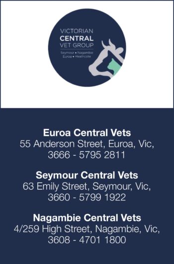 Euroa Central Vets